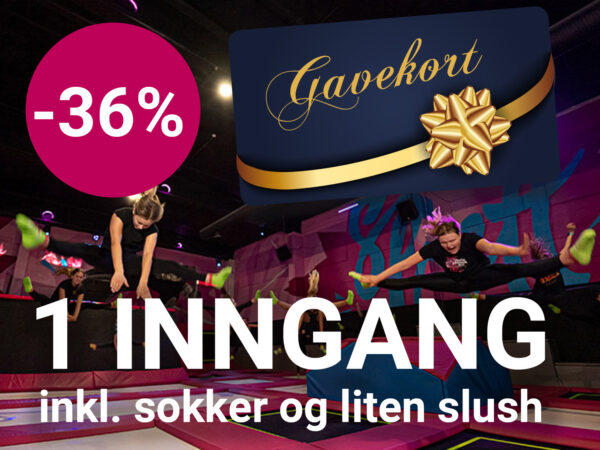 2 timer hopping + sokker og slush |  GAVEKORT